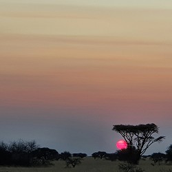Dronfield Nature Reserve - Sun Set