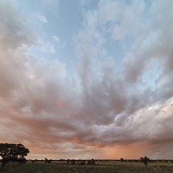 Kgalagadi Transfrontier Park - Beautiful red sky