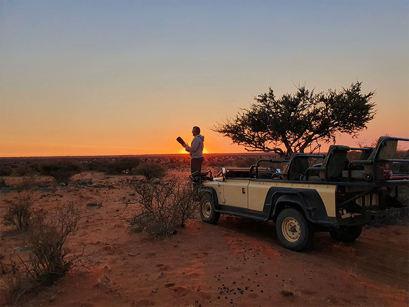 Sunset on our Kalahari Safari
