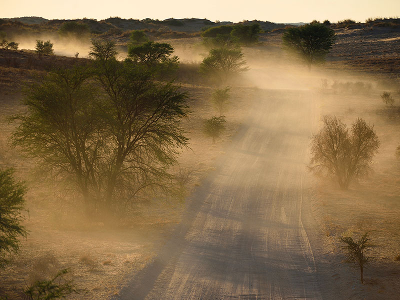Kgalagadi Transfrontier Park Safari tour