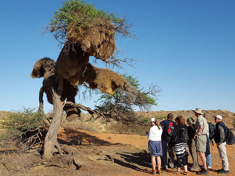 Our Educational Tours of South and East Africa