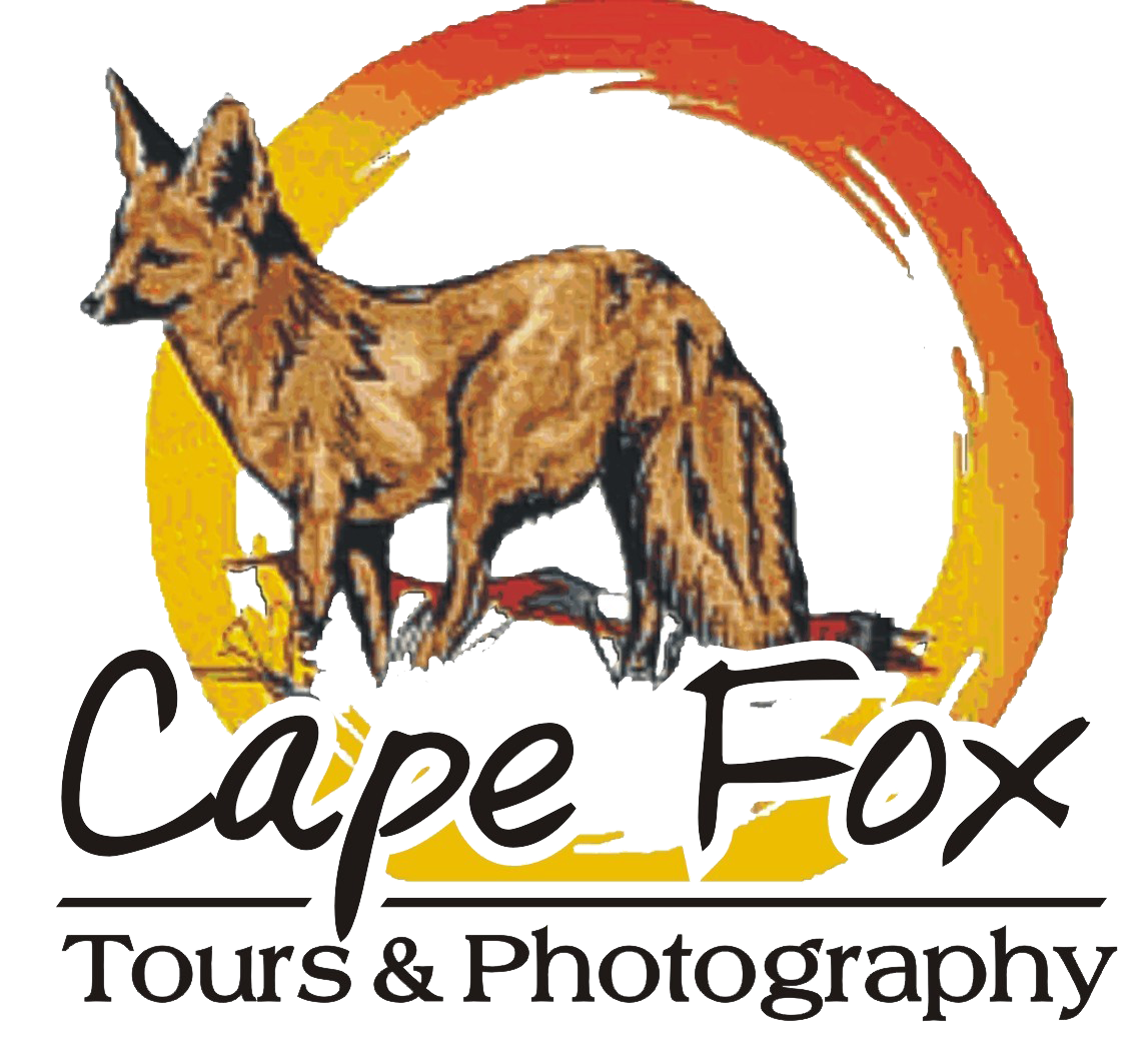 Cape Fox Tours & Photography Logo