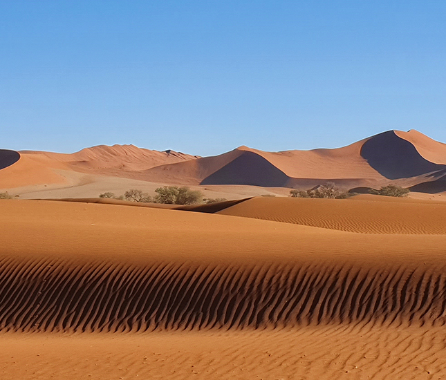 Namibia Photography Safari Tour