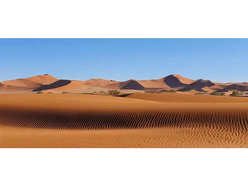 Shot of the Desert on our Namibia Tailor Made Tours.