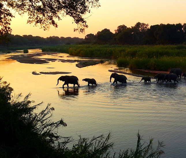 Southern Africa Photography Safari Tour